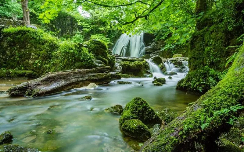 高质量先进高质量